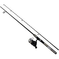 Daiwa ジャンクロッド セット DAIWA（釣り） 【ロッド＆リールセット】 ダイワ 17 ワールド